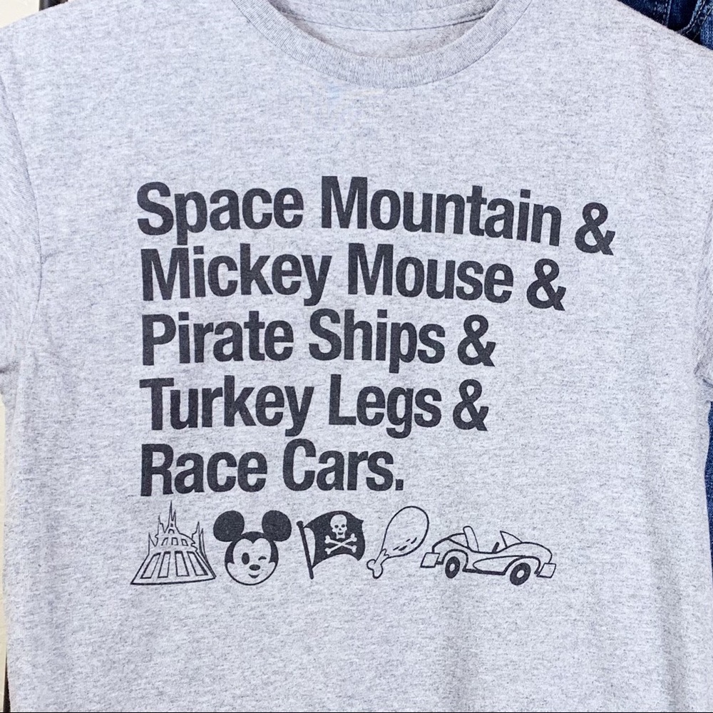 Disney Disneyland large